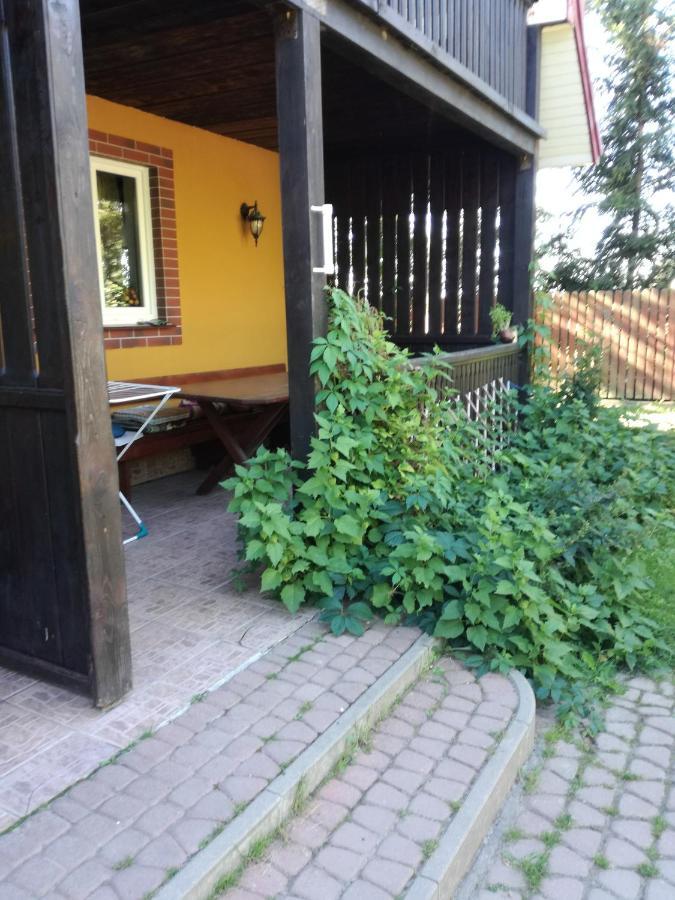Domek Letniskowy Ali Przejma Wielka Exterior foto